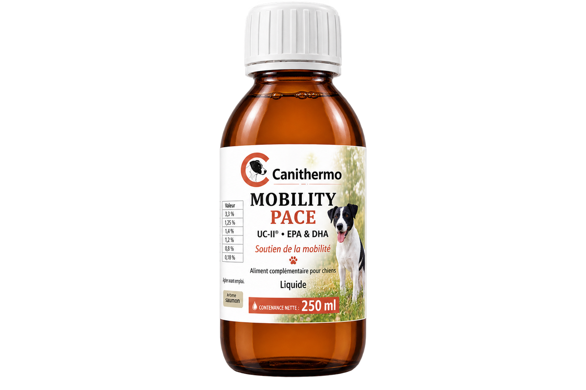 Mobility PACE